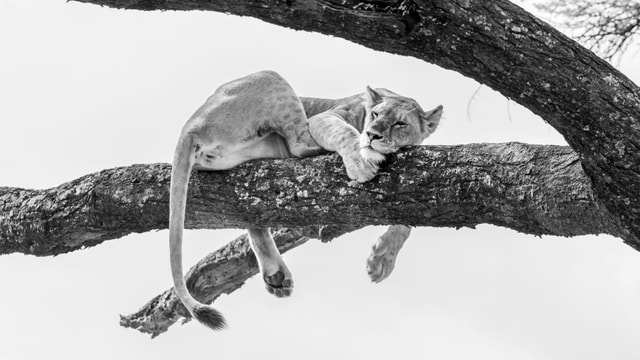 ACP - tanzania februari-7403288.jpg