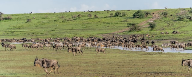 ACP - tanzania februari-7403582.jpg