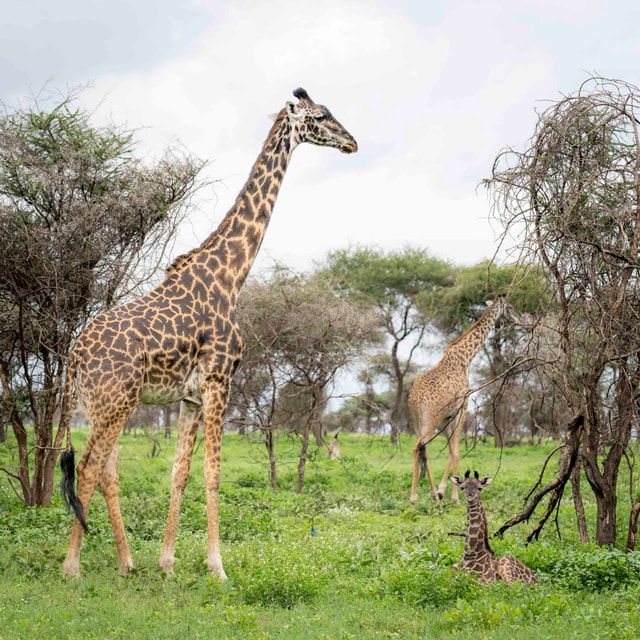 ACP - tanzania februari-7403819.jpg