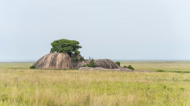 ACP - tanzania februari-7404014.jpg