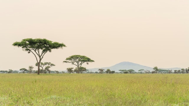 ACP - tanzania februari-7404069.jpg