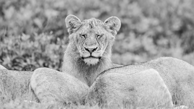 ACP - tanzania februari-9200112.jpg