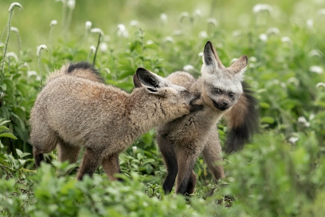 ACP - tanzania februari-9200430.jpg