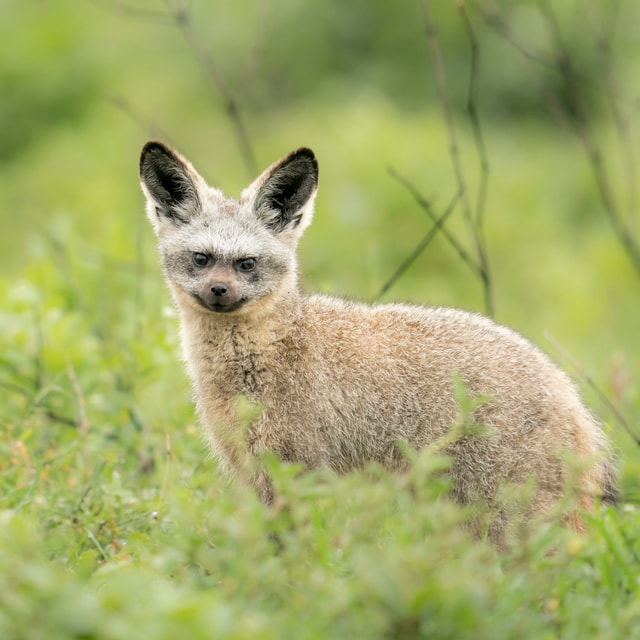 ACP - tanzania februari-9200479.jpg