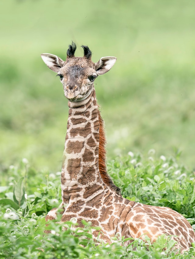 ACP - tanzania februari-9200557.jpg