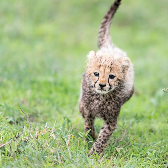 ACP - tanzania februari-9200950.jpg