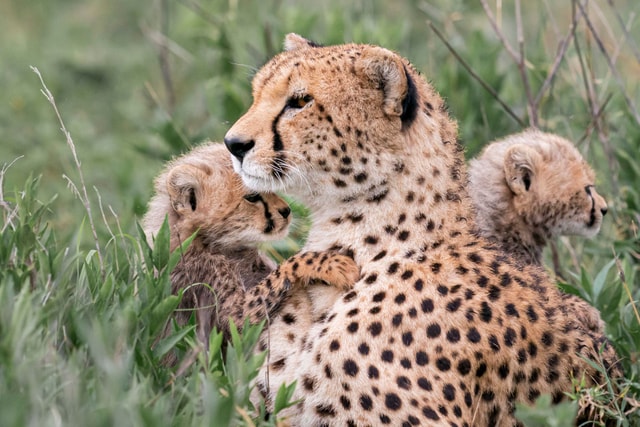 ACP - tanzania februari-9201179.jpg