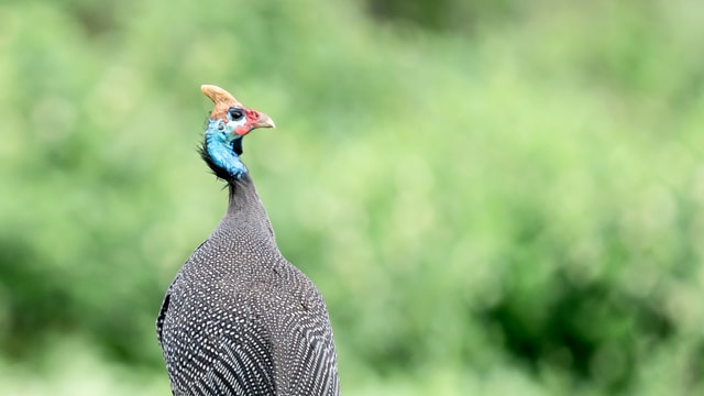 ACP - tanzania februari-9202649.jpg