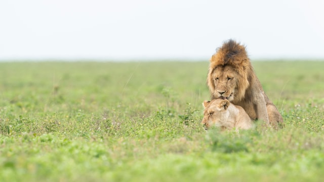 ACP - tanzania februari-9203062.jpg