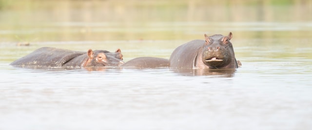 ACP - tanzania februari-9203239.jpg