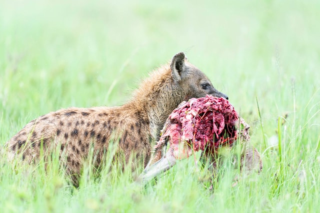 ACP - tanzania februari-9203522.jpg