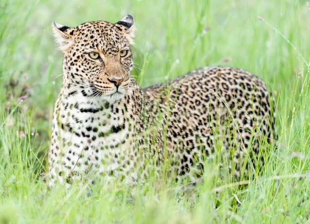 ACP - tanzania februari-9203636.jpg