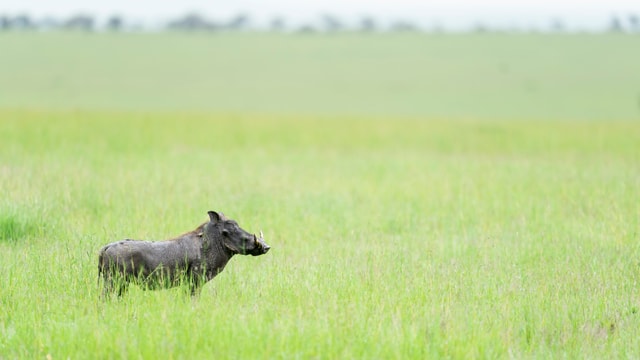 ACP - tanzania februari-9203705.jpg