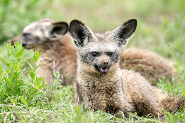 ACP - tanzania februari-9204001.jpg