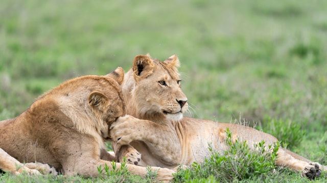 ACP - tanzania februari-9204127.jpg