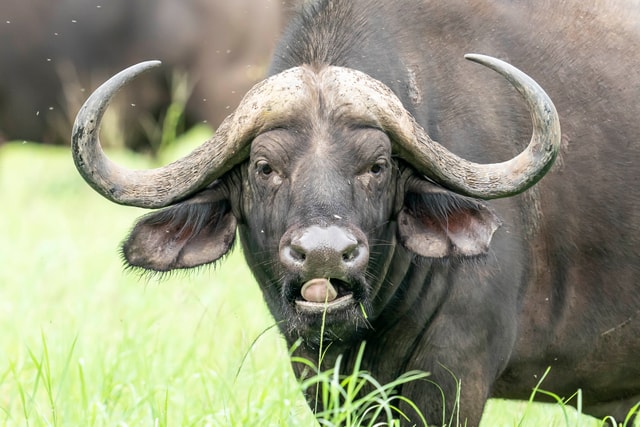 ACP - tanzania februari-9204535.jpg