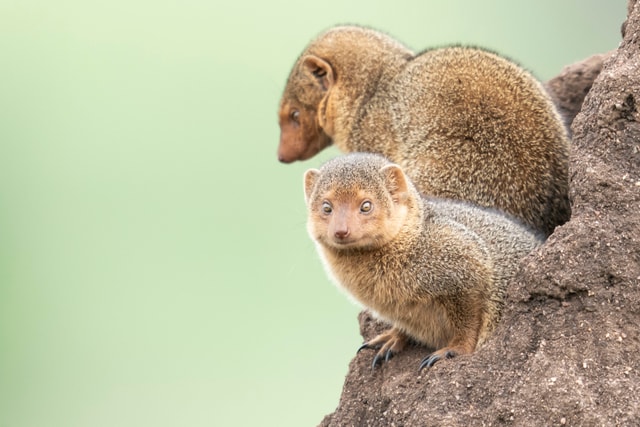 ACP - tanzania februari-9204829.jpg