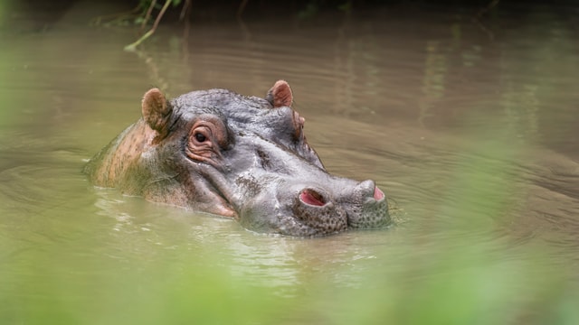 ACP - tanzania februari-9205026.jpg