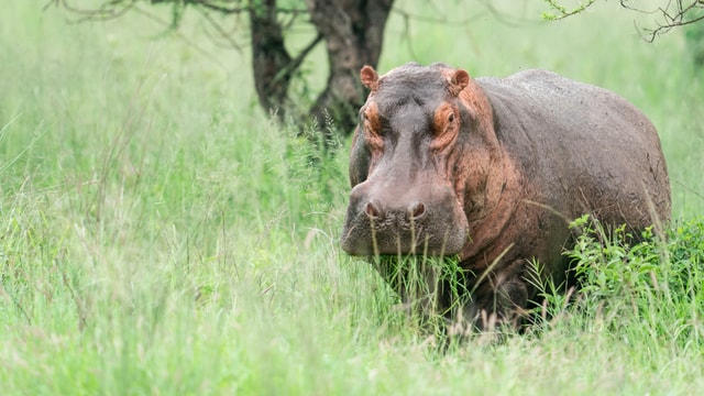 ACP - tanzania februari-9205193.jpg