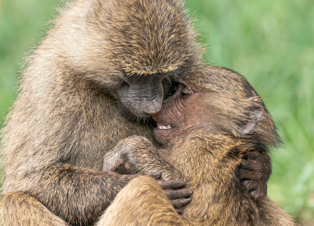 ACP - tanzania februari-9205617.jpg