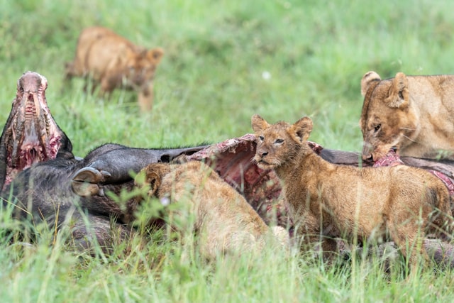 ACP - tanzania februari-9205691.jpg