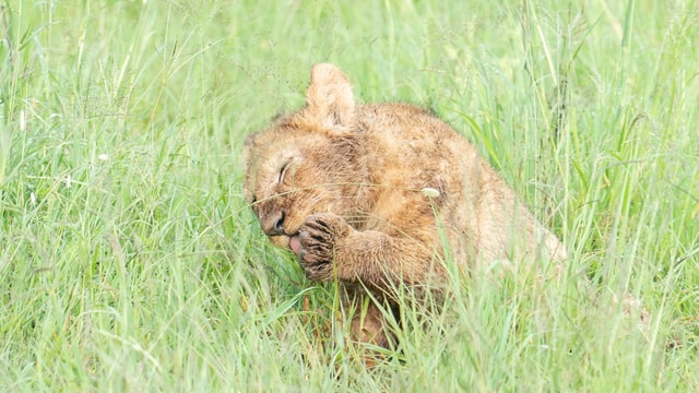 ACP - tanzania februari-9206012.jpg