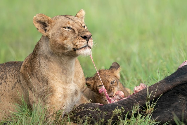 ACP - tanzania februari-9206059.jpg