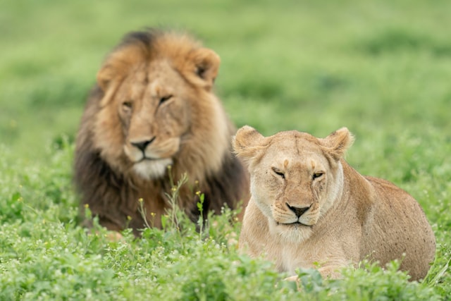 ACP - tanzania februari-9206269.jpg