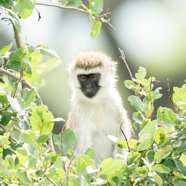 ACP - tanzania februari-9207186.jpg