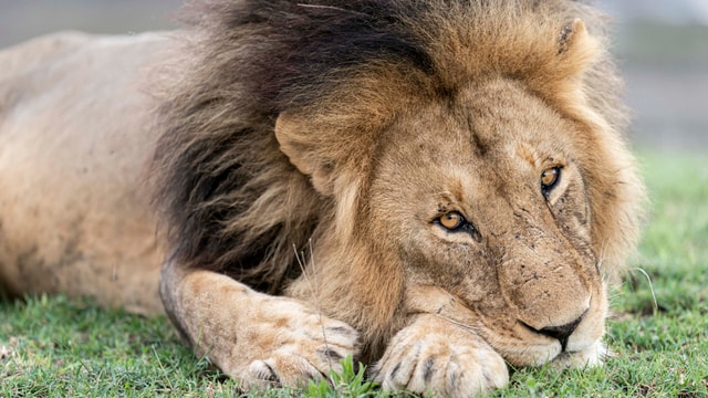 ACP - tanzania februari-9207914.jpg