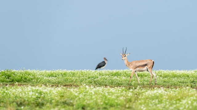 ACP - tanzania februari-9208215.jpg