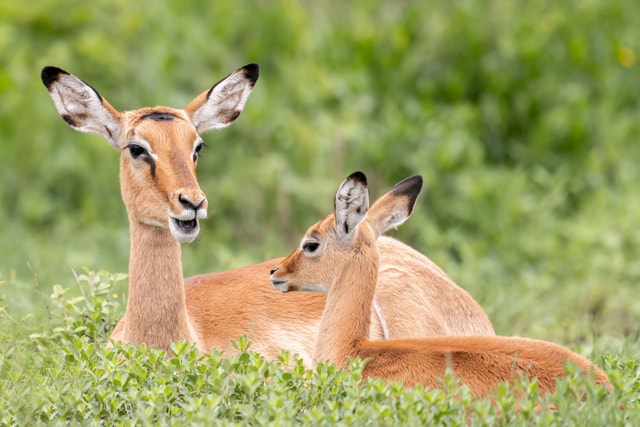 ACP - tanzania februari-9208612.jpg