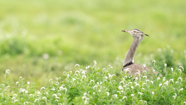 ACP - tanzania februari-9209058.jpg