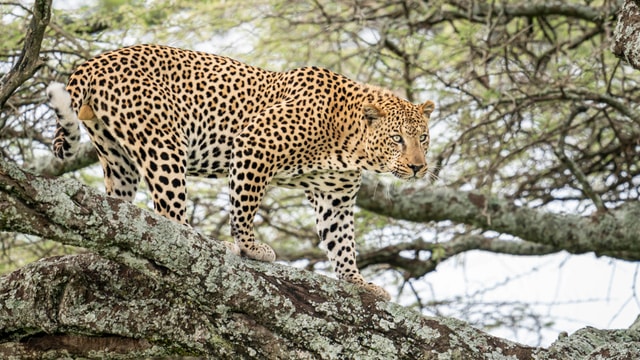 ACP - tanzania februari-9209310.jpg