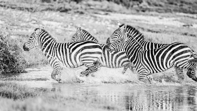 ACP - tanzania februari-9209433.jpg