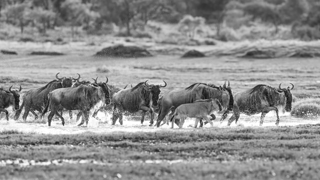 ACP - tanzania februari-9209673.jpg