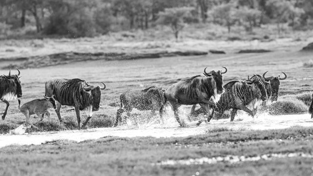 ACP - tanzania februari-9209684.jpg